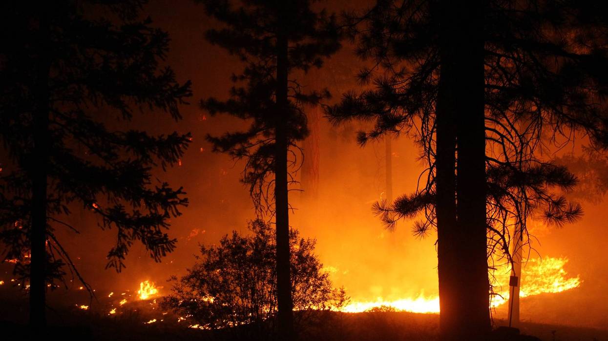 The Dixie Fire burns in the forest along Route 89 between Greenville and Canyondam on Wednesday night (Aug. 5, 2021).