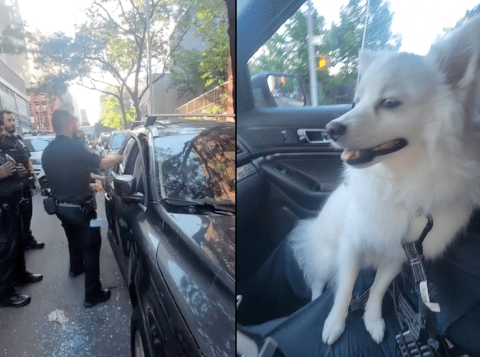 The dog was found in distress inside a locked hot car on the Upper East Side by officers responding to 911 call