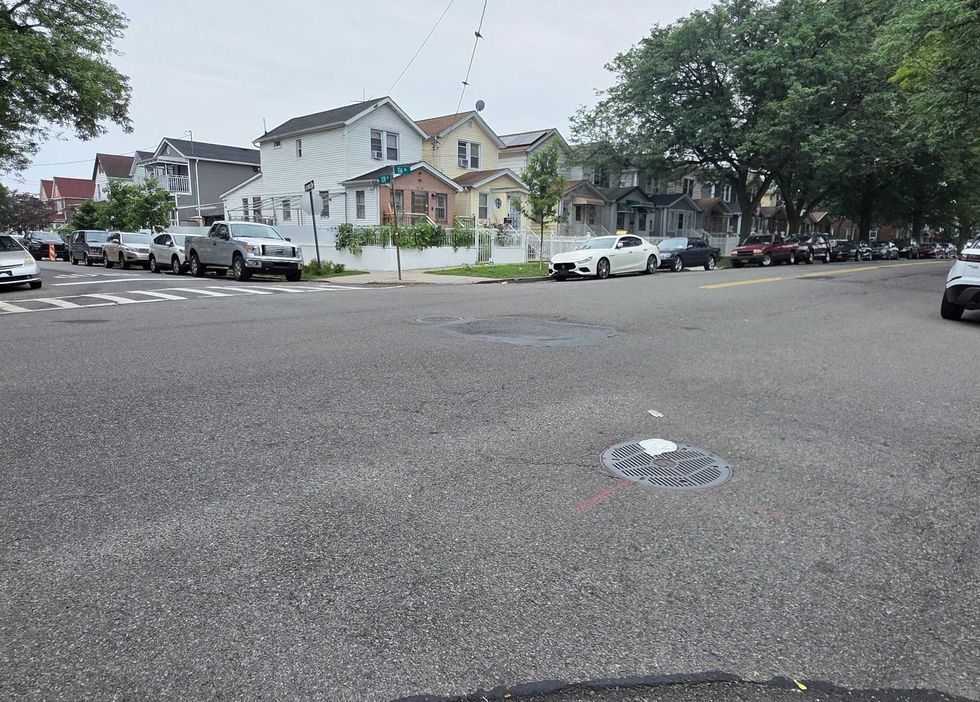 The dog was set on fire at 128th Street and 116th Avenue in South Ozone Park