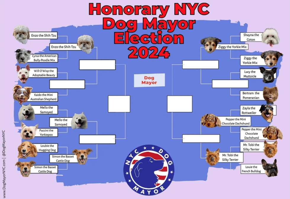The DogMayorNYC voting brackets as of 9-1-2024
