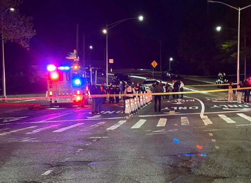 The driver allegedly drove at officers and was shot