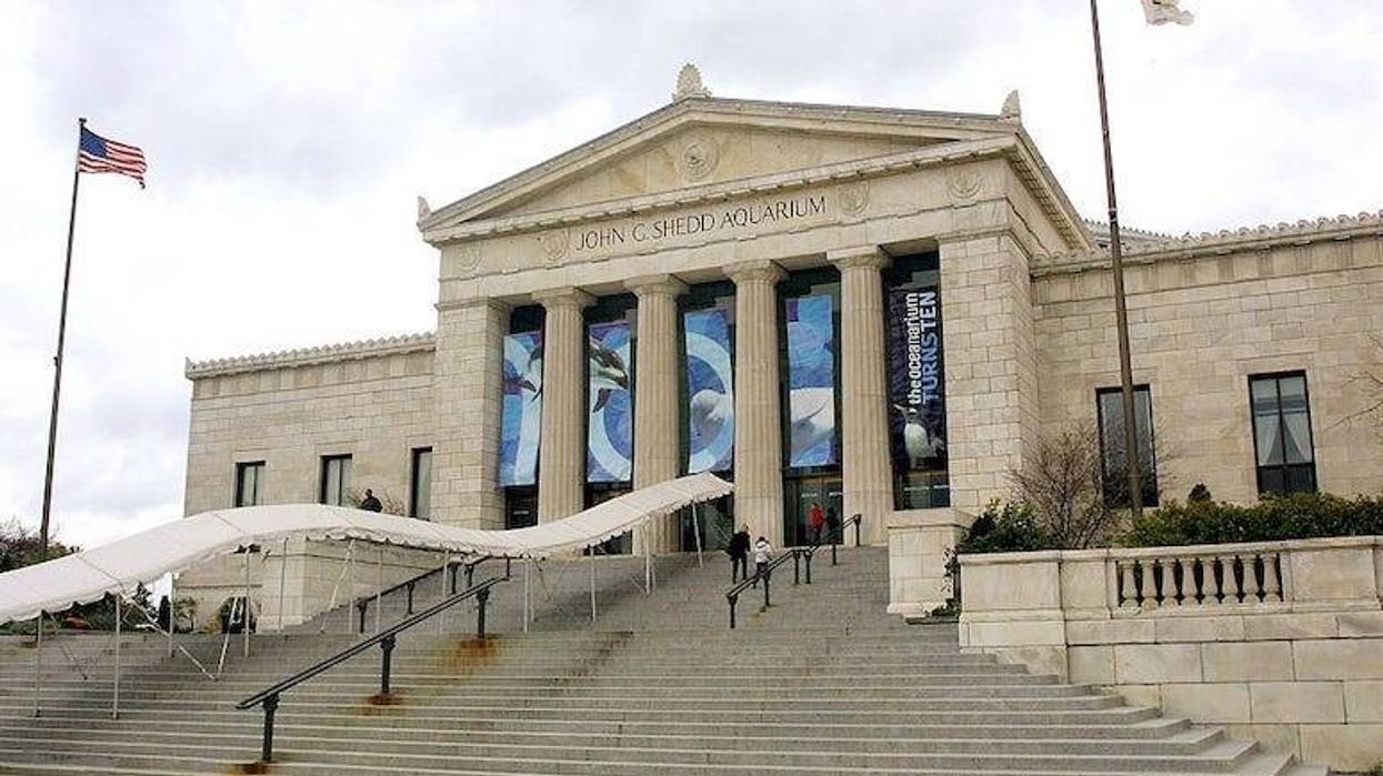 The entrance to the Shedd Aquarium museum in Chicago.