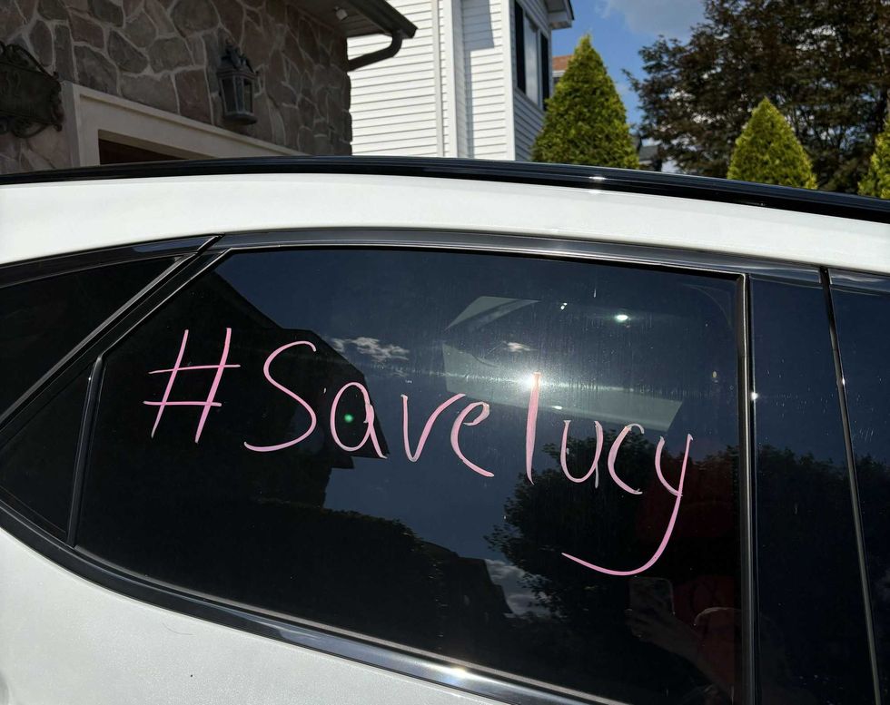 The family has started a #SaveLucy campaign online
