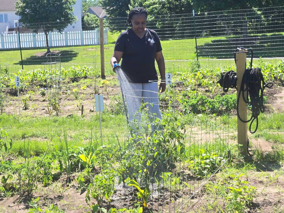 The Food Scraps Pickup Program is the only one in the state where residents of Ramsey and Washington County have this opportunity to recycle food scraps from their homes.