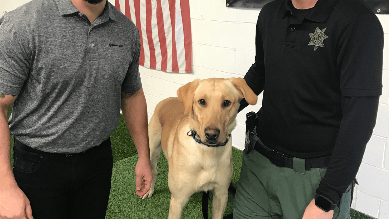 The Greenville County Sheriffs Office welcomes K9 Arson Specialist