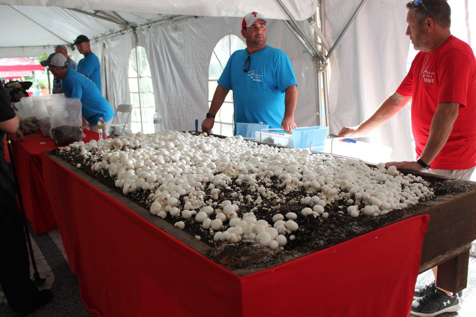 The growers exhibit at the 2022 Mushroom Festival.