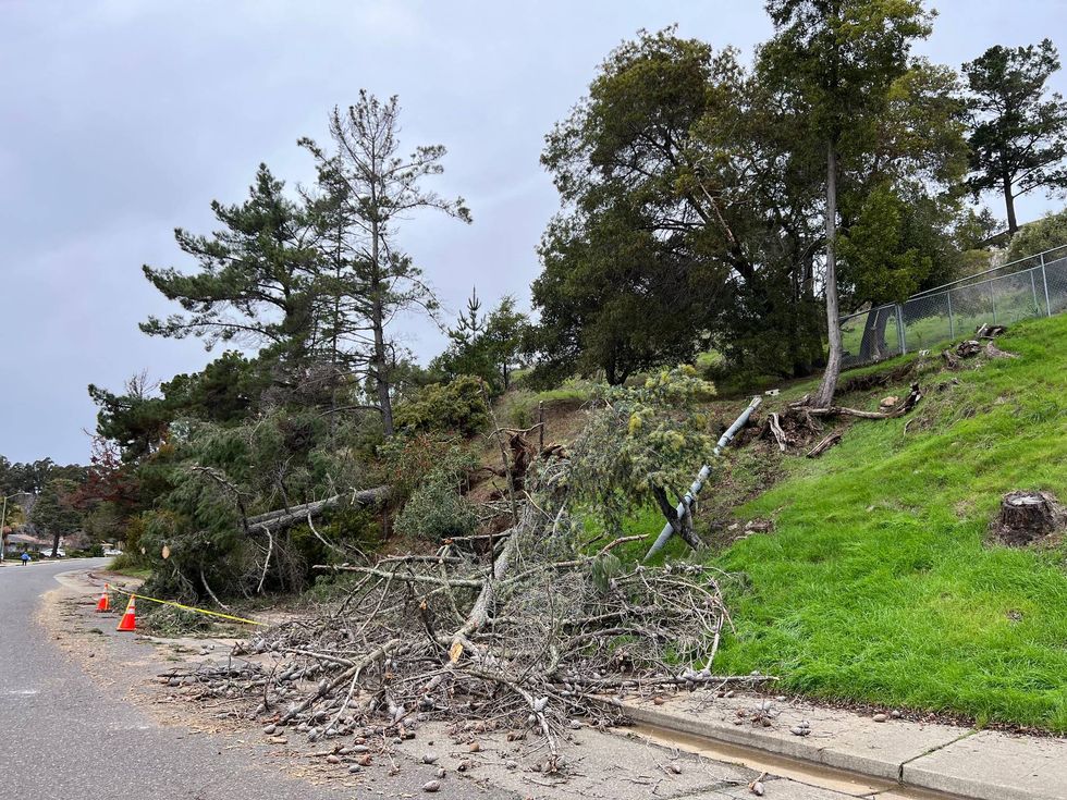 The highly anticipated winter storm has arrived in the Bay Area Wednesday morning, disrupting commuters on the road, local schools and threatening residents.
