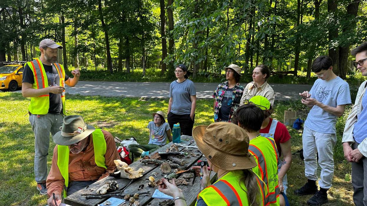 The Illinois Mycological Association is a mushroom club made up of fungi enthusiasts. The club will be hosting its annual mushroom show Sunday at the Chicago Botanic Garden.