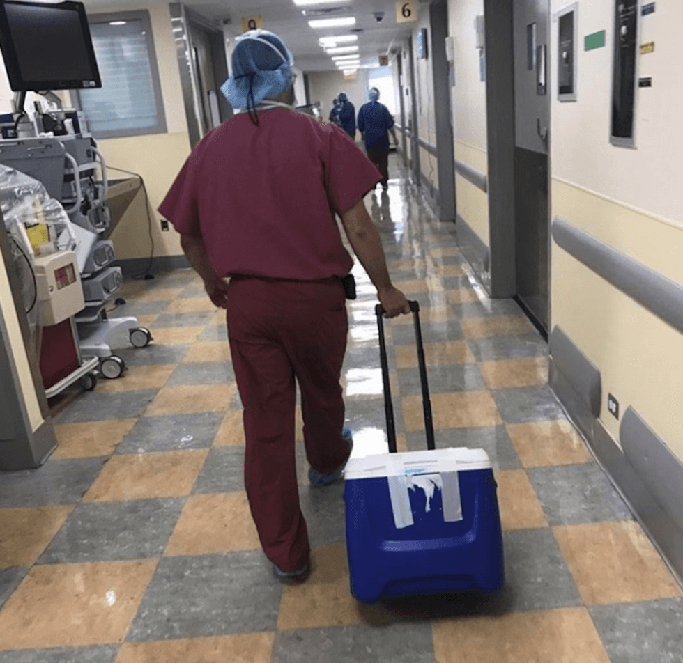 The kidney from Lisa Calla is transported for Julia Mulroy
