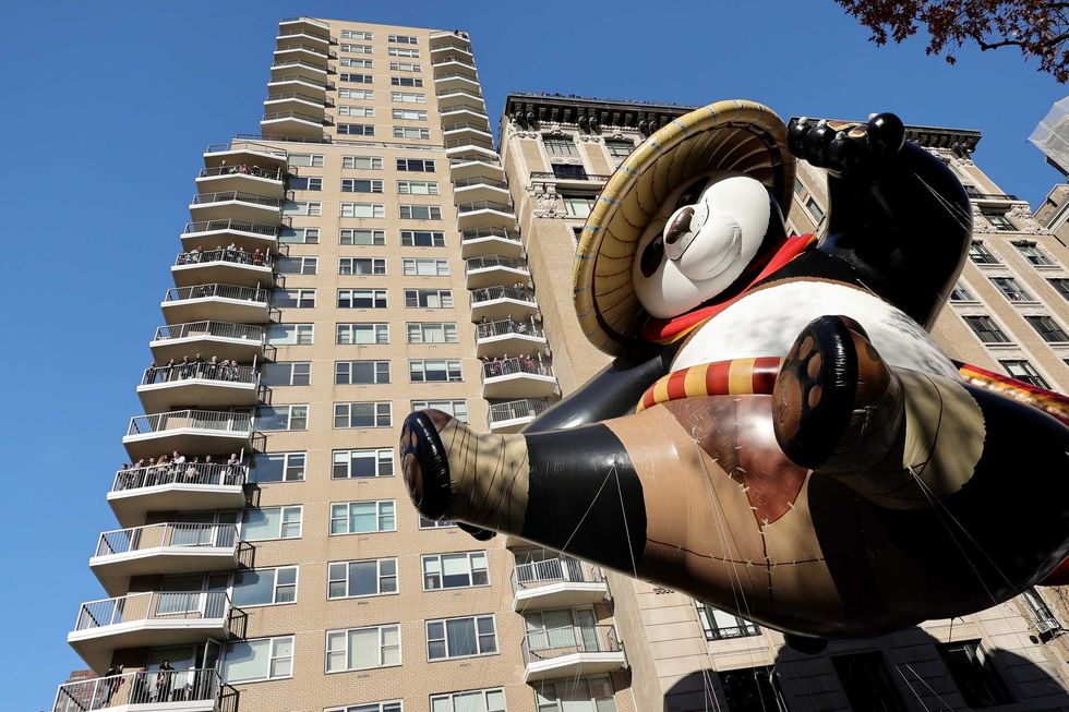 The Kung Fu Panda
