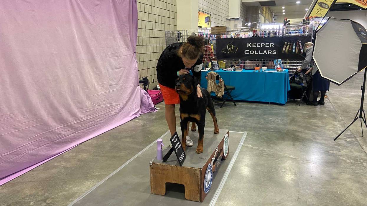 The Land O'Lakes Kennel Club's annual Dog Show