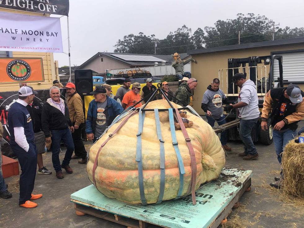 The largest pumpkin ever grown in North America sits at the Safeway World Championship Pumpkin Weigh-Off in Half Moon Bay.