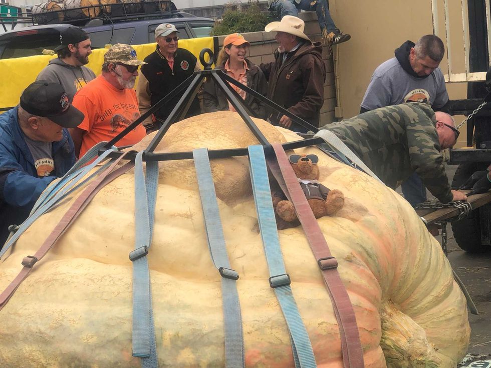 The largest pumpkin ever grown in North America sits at the Safeway World Championship Pumpkin Weigh-Off in Half Moon Bay.