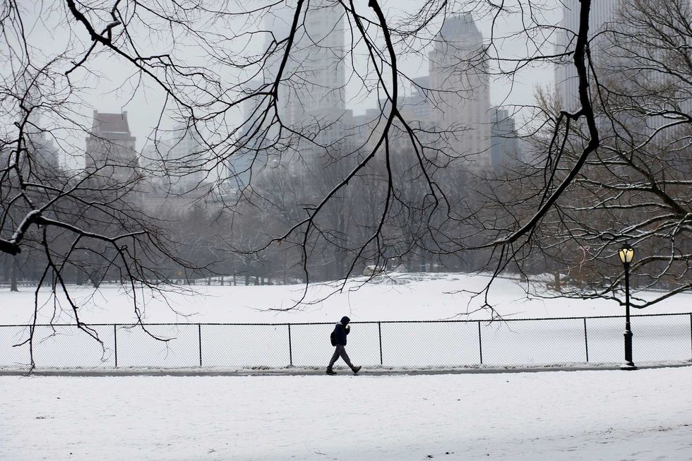 The last time Central Park saw any significant snowfall was on Feb. 27 and Feb. 28, 2023 (pictured). Even then, totals didn
