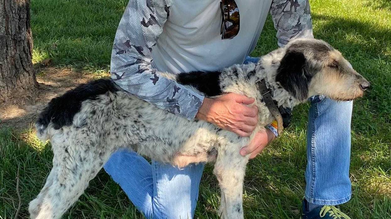 The lost dog with cave diver Rick Haley.