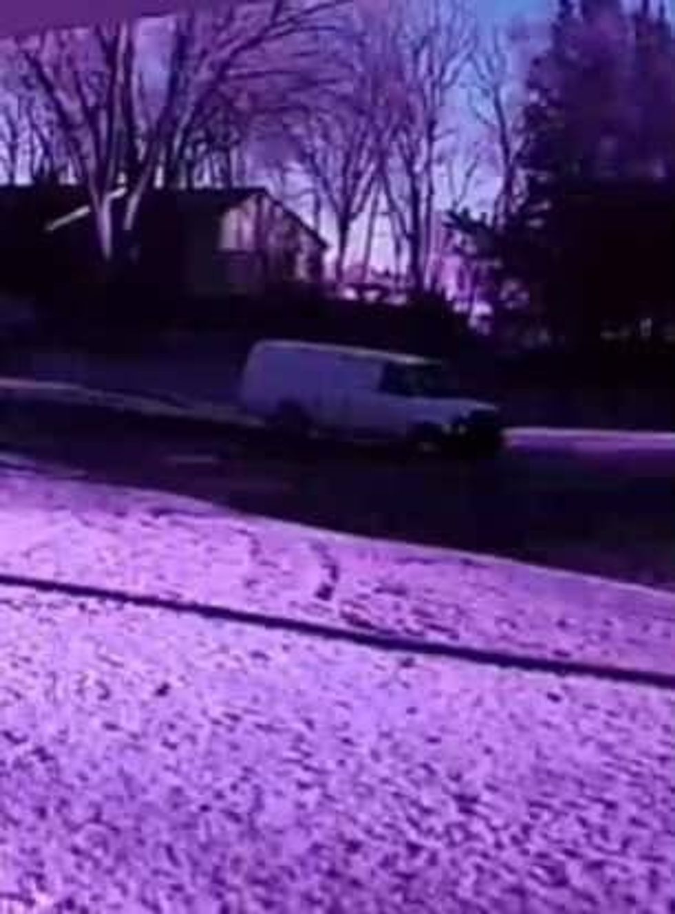 The male driver is described as white, 20-30 years old, and was wearing a backward baseball hat. The van (pictured) is an older Ford with rust spots, specifically on the grill. It appears to only have front driver and passenger windows, police said.