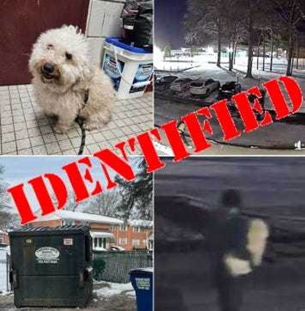 The man who left the dog in the dumpster was identified as a 26-year-old male resident of Old Bridge, and he is facing charges.