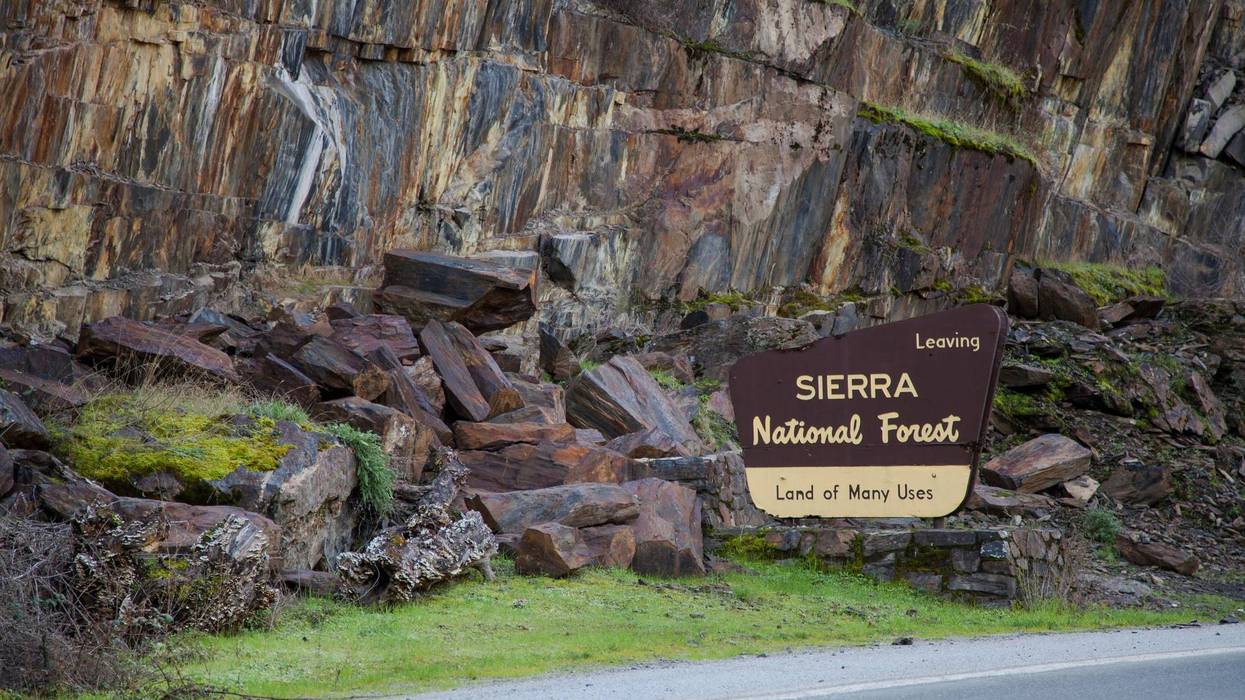 The Mariposa County Sheriff's Office revealed what killed the Gerrish-Chung family on their hike this summer.