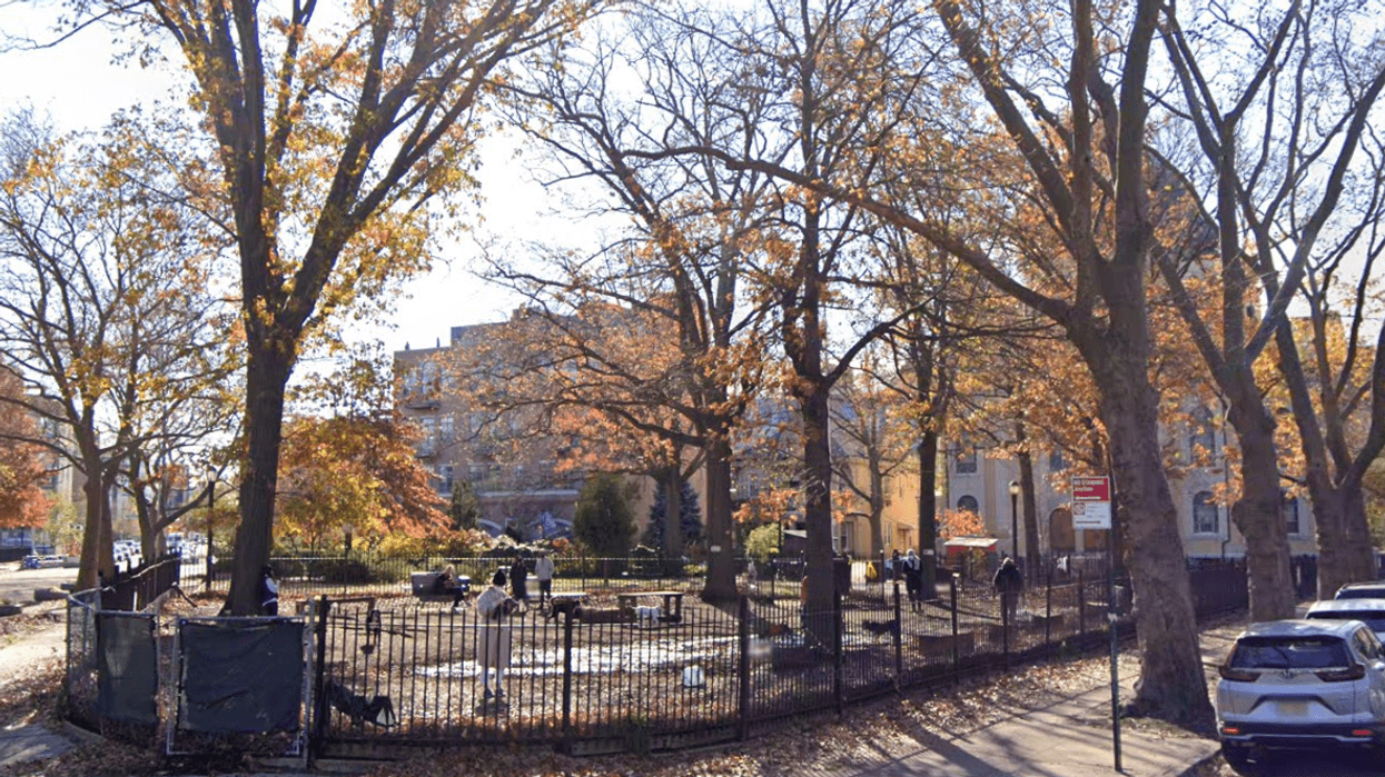 The McCarren Park Dog Run in Williamsburg, where residents believe dogs are contracting leptospirosis from rats