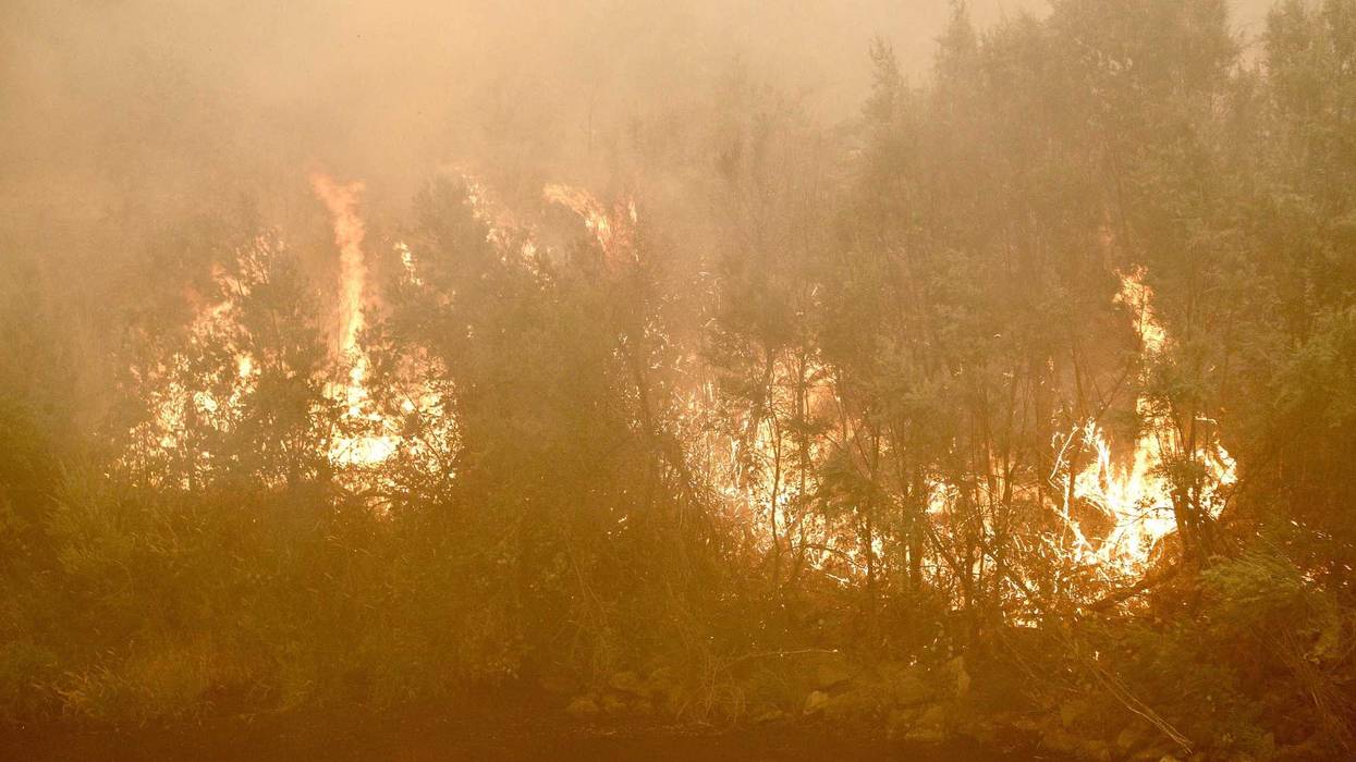 The McKinney Fire along Highway 96 in Klamath River, California, on Sunday, July 31, 2022.