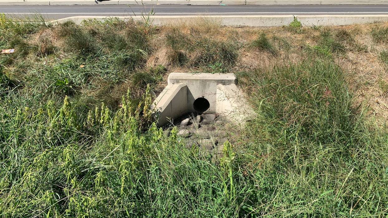 The median on American Street in Kensington aimed to capture rainwater as part of the Philadelphia Water Department’s Green City, Clean Waters plan, a 25-year initiative to reduce 85% of storm-related pollution in the city’s waterways.
