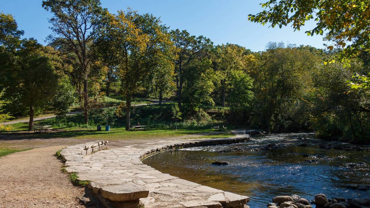 Minneapolis Park Board set to vote on proposed closure of the Minnehaha Dog Park over cultural concerns