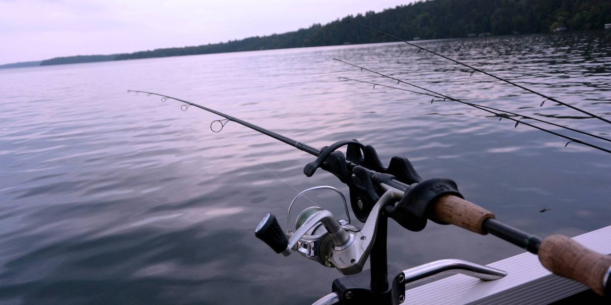 Minnesota Department of Natural Resources launches new digital hunting and fishing licensing system