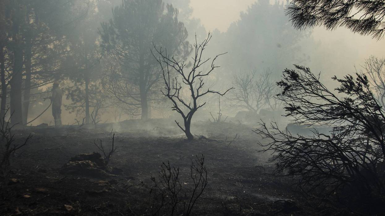 Minnesota DNR has identified people of interest in connection with the Flanders Fire in Crow Wing County