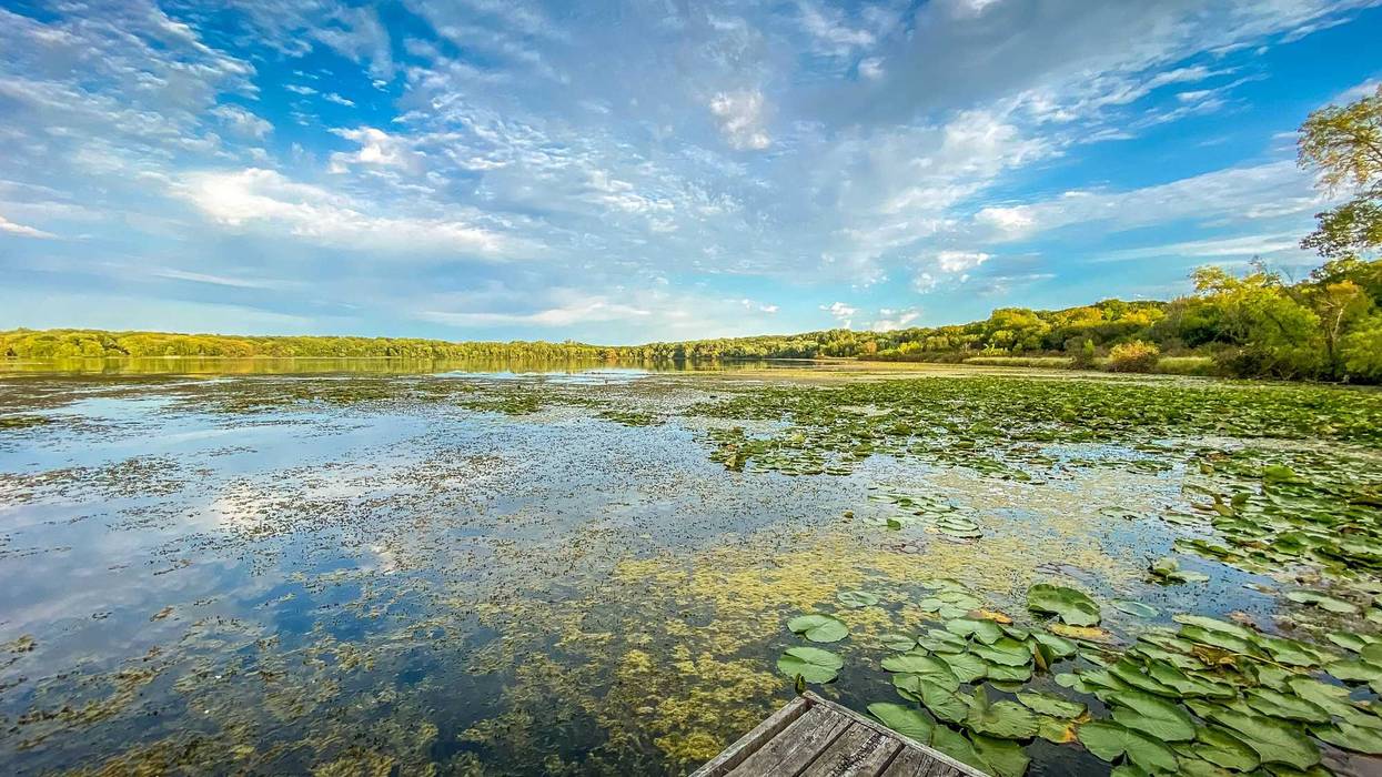 The Minnesota Pollution Control Agency is helping shed some light on what they're calling a statewide algae threat.