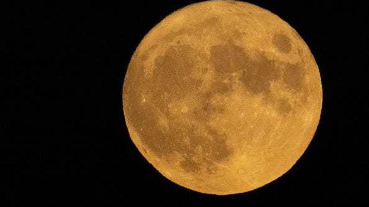 The moon rises on August 11, 2022 in Washington, DC. The so-called Sturgeon Moon is the fourth and final super moon of 2022.