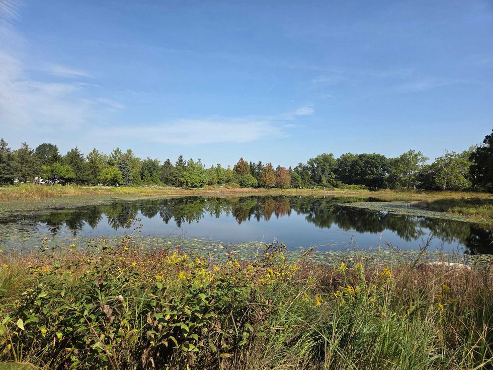 The Morton Arboretum