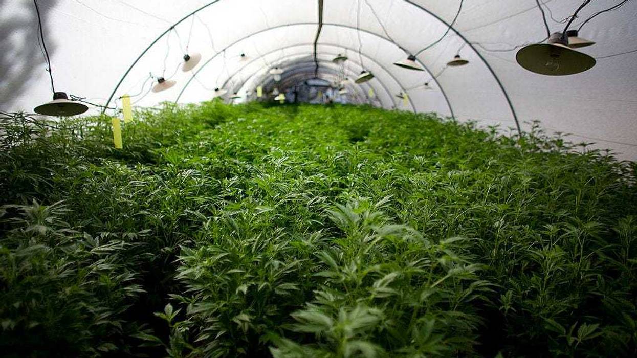 The Office of Cannabis Management announcing they will not move forward with a social equity lottery.