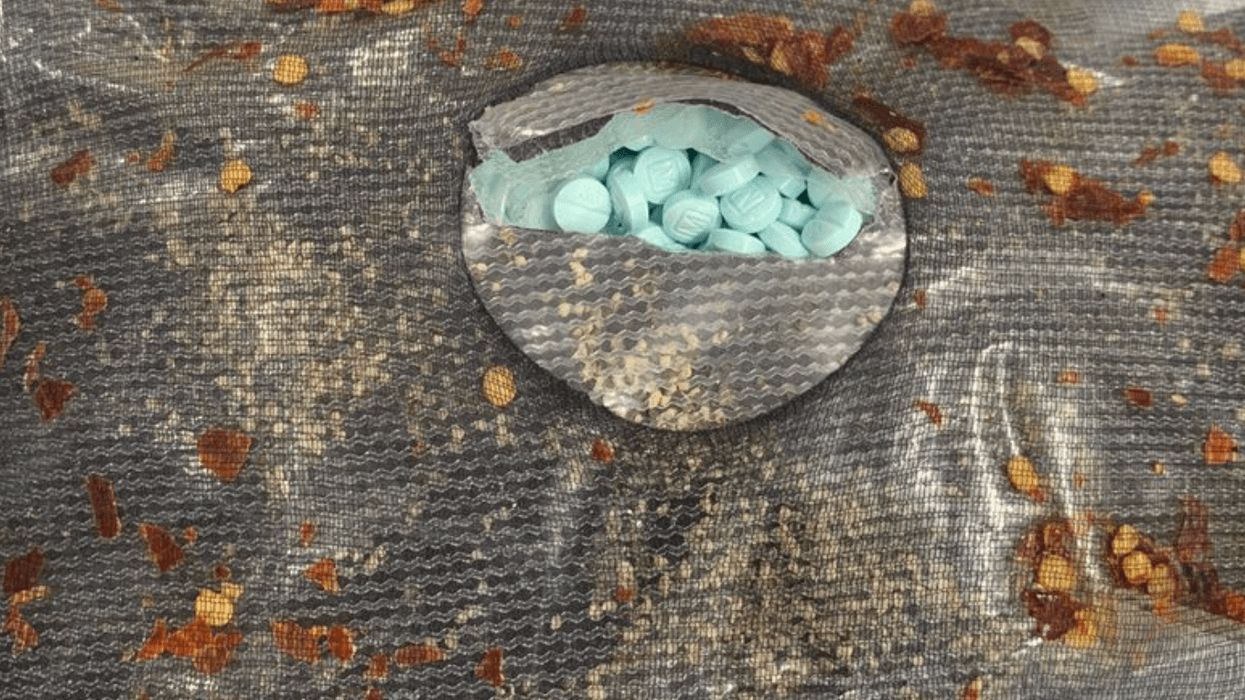 The Office of Special Narcotics