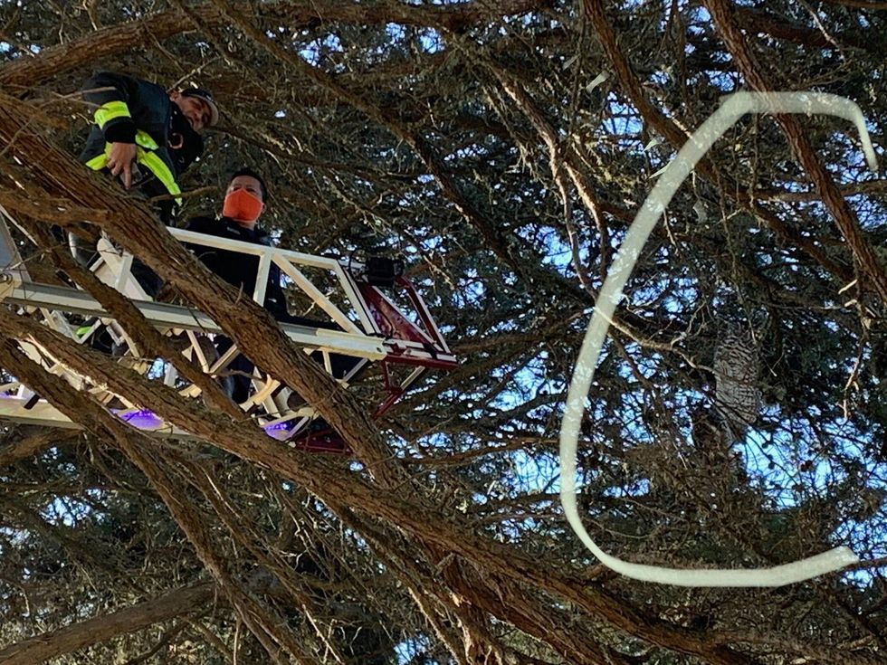 The owl "realized it was being rescued" and was very calm, Lt. Baxter said.