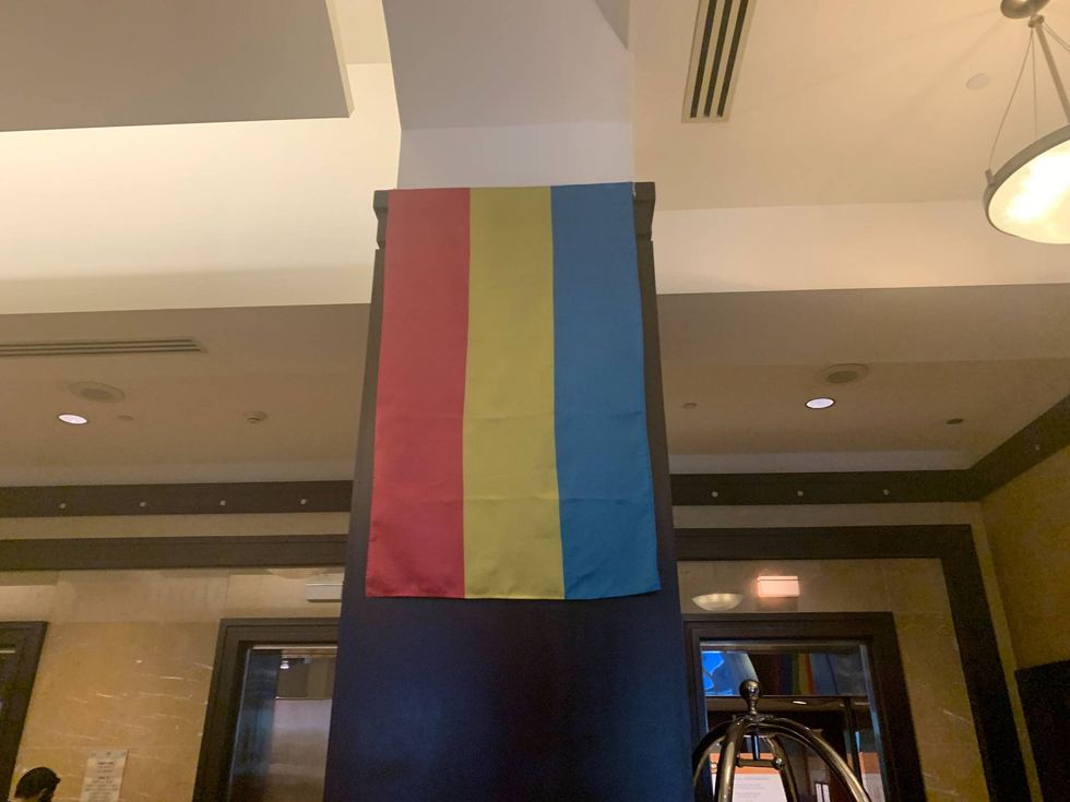 The pansexual pride flag.