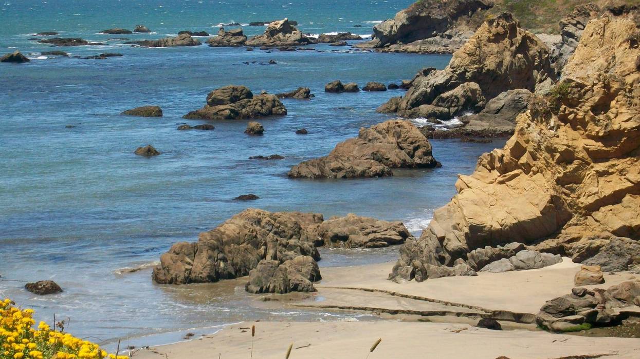 The park will be opened to public in phases over the next year or so.