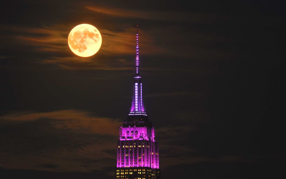 The pop-up will be high above the asphalt jungle from Oct. 3 to Oct. 6