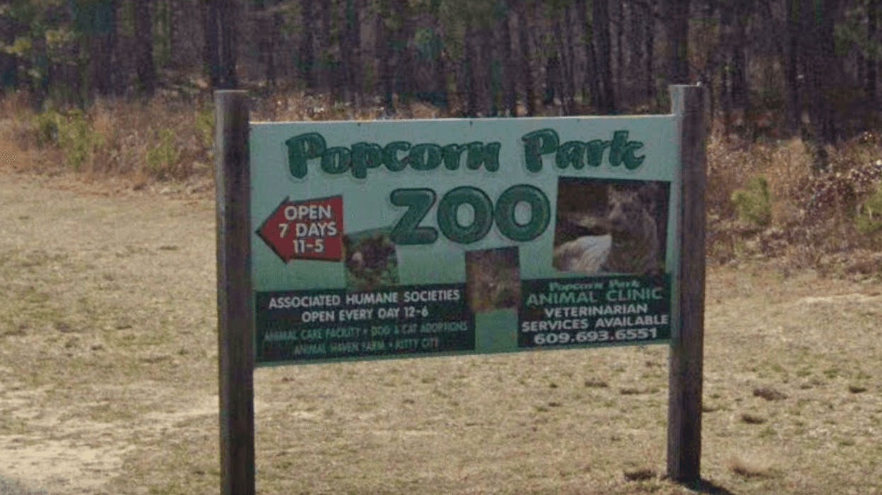The Popcorn Park Animal Refuge in Lacey, New Jersey.