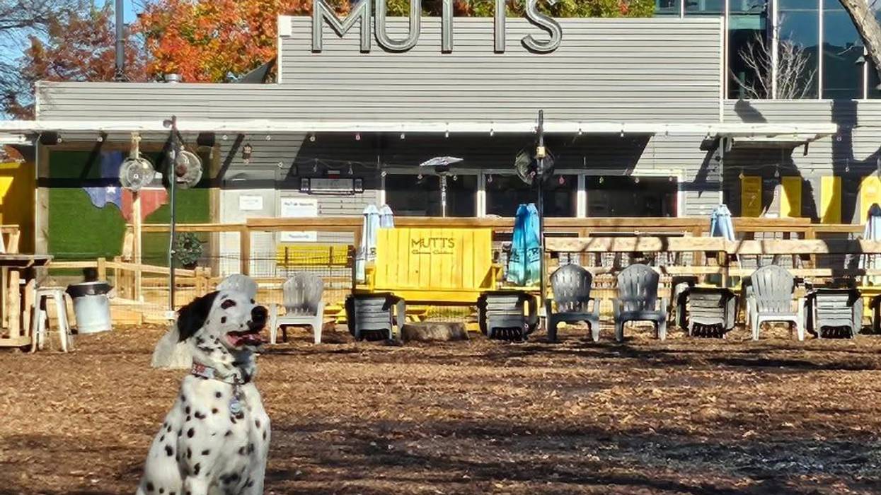 The popular dog-friendly hangout Mutts Canine Cantina permanently closed all its Dallas-area locations Monday, June 29.