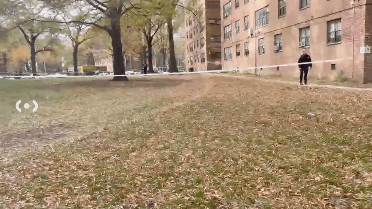 The remains of a baby boy were found outside a NYHCA complex in Canarsie, Brooklyn on Thursday morning.