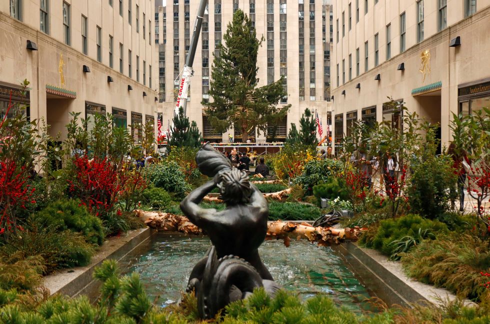 The Rockefeller Center Christmas tree is placed on its pedestal on November 12, 2022, in New York City.