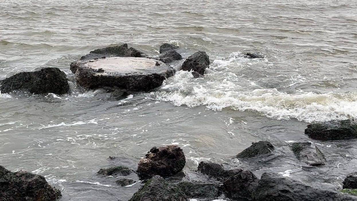 The sea lion will be returned to its perch soon.