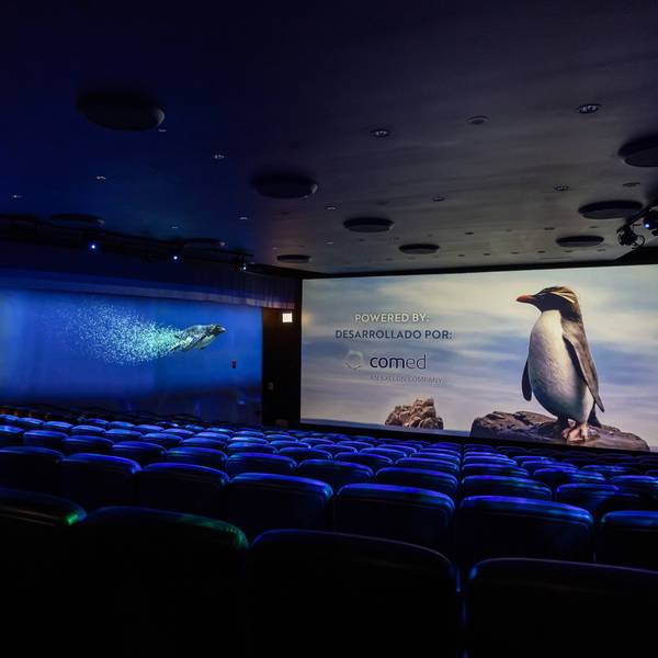 Shedd Aquarium opens first-of-its-kind 4D theater