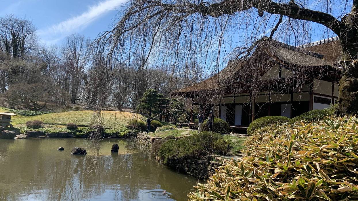 The Shofuso House and Garden in West Fairmount Park reopens this weekend, in time for spring, and the upcoming cherry blossom season.