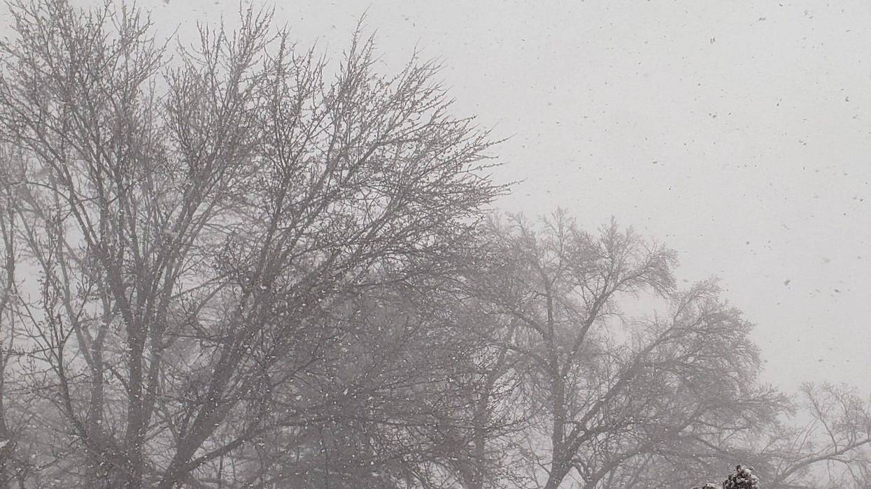 The snowy scene in Wichita, Kansas: Sunday, January 5, 2025