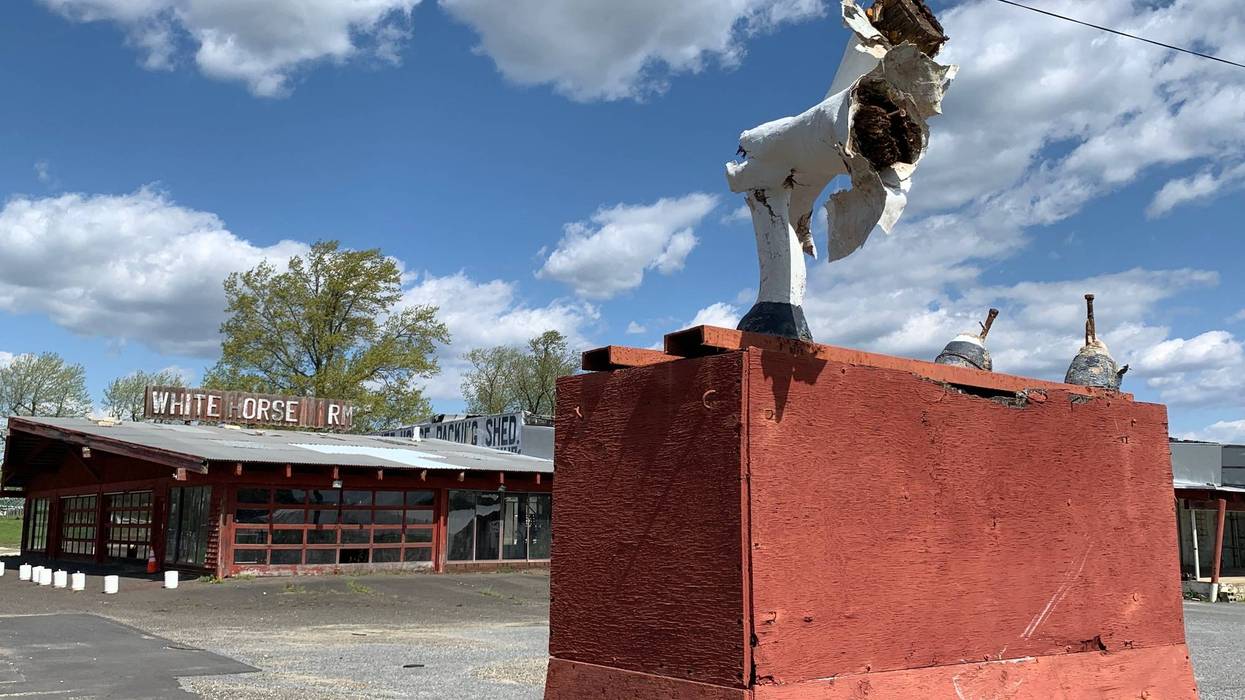 The statue of a white horse at the White Horse Farm along the White Horse Pike, a roadside icon for more than six decades, has fallen victim to vandals.