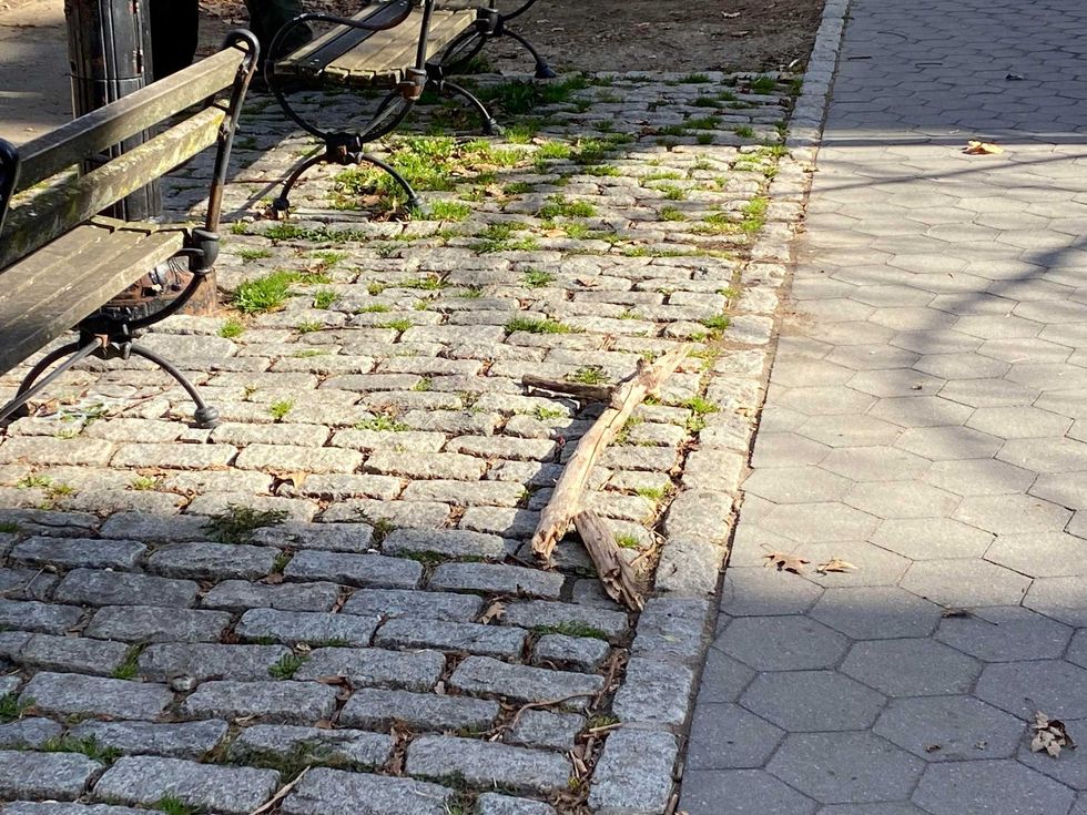 The stick the man allegedly used to attack New York Post reporter Kevin Sheehan