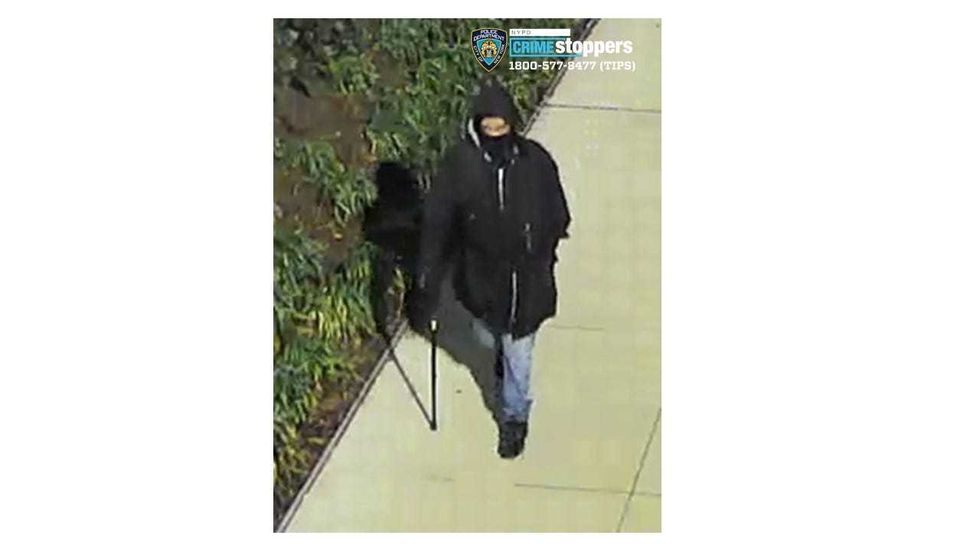 The suspect