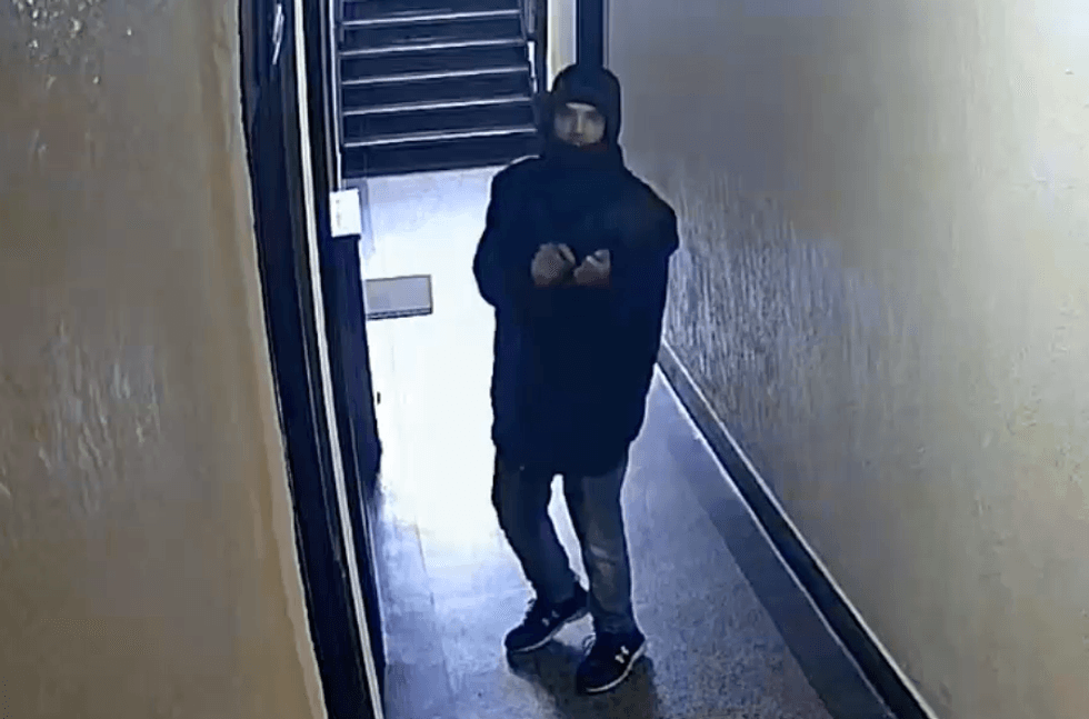 The suspect