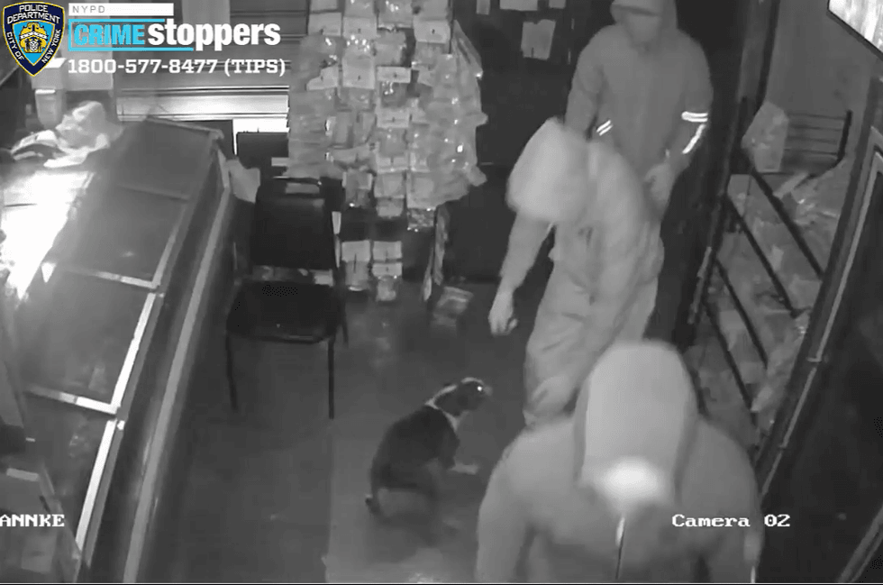 The suspects stole a deli dog in the Sept. 13 burglary. The pooch was later recovered unharmed